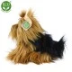 Plush dog Yorkshire terrier sitting 23 cm.