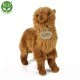 Plush Brown Llama 23 cm.