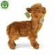 Plush Brown Llama 23 cm.