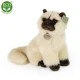 Plush British longhair cat sitting 30 cm.