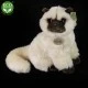 Plush British longhair cat sitting 30 cm.