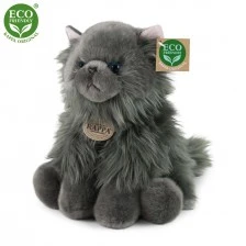 Plush Persian longhair cat sitting 30 cm.