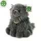 Plush Persian longhair cat sitting 30 cm.
