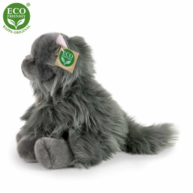 Plush Persian longhair cat sitting 30 cm.