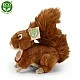 Plush Squirrel 17 cm.