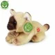 Plush Kitten with sound British 15 cm.