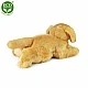 Plush Golden Retriever 30 cm lying down