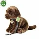 Plush Brown Labrador with leash standing 25 cm.