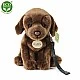 Plush Brown Labrador with leash standing 25 cm.