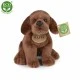 Plush Dog Brown Labrador sitting 20 cm.