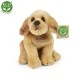 Plush Dog Beige Labrador sitting 20 cm.