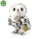 Plush White owl 25 cm.