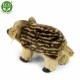 Plush Wild pig baby 22 cm standing
