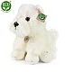 Plush dog West Highland White Terrier sitting 30 cm