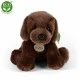 Plush Dog Brown Labrador sitting 26 cm.