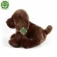Plush Dog Brown Labrador sitting 26 cm.
