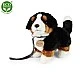 Bernese mountain dog plush standing on a leash23 cm.
