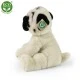 Plush sitting pug dog 30 cm.
