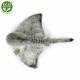 Plush Stingray 43 cm.