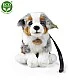 Plush Australian Shepherd with leash sitting 27 cm.