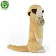 Plush Meerkat 18 cm standing