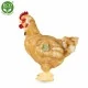 Plush domestic hen with egg 33 cm.