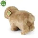 Plush capybara standing 30 cm.