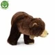 Plush Brown bear standing 40 cm.