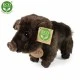 Plush Boar standing 20 cm.