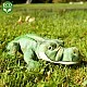 Plush Crocodile 34 cm.