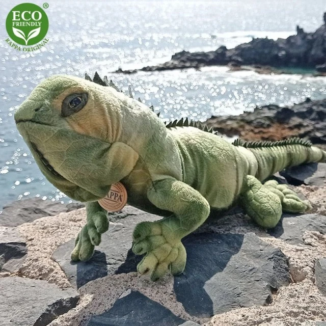 Plush Iguana 70 cm.
