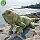 Plush Iguana 70 cm.