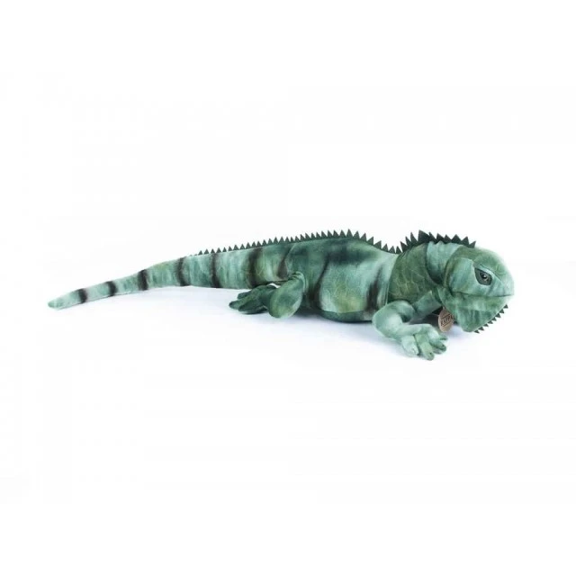 Plush Iguana 70 cm.