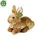 Plush Beige bunny standing 24 cm.