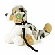 Plush Dog Australian Shepherd with a leash 28 cm sitting