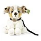 Plush Dog Australian Shepherd with a leash 28 cm sitting