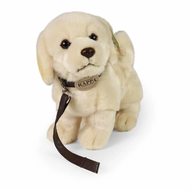 Plush Golden Retriever dog with a leash 25 cm.
