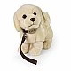 Plush Golden Retriever dog with a leash 25 cm.