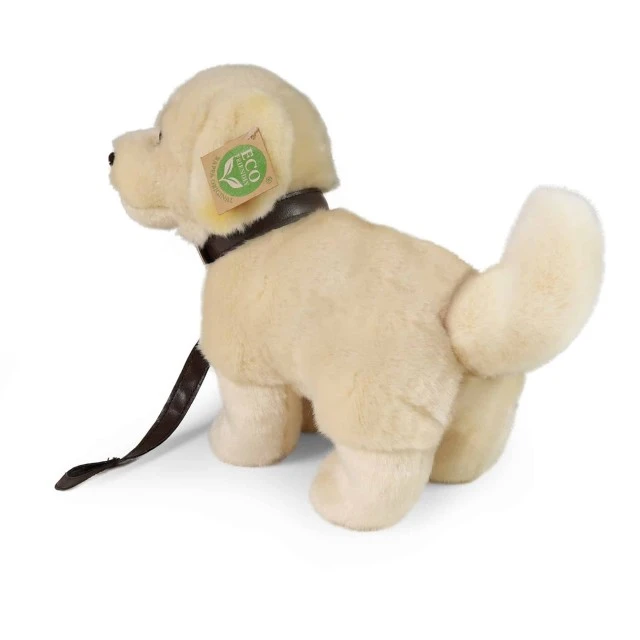 Plush Golden Retriever dog with a leash 25 cm.