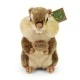 Plush Squirrel Chipmunk 20 cm.