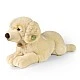 Large plush Golden Retriever 60 cm. lying down