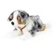 Large dog Australian shepherd with breastplate 61 cm. lying down