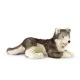 Large dog Siberian husky 60 cm lying down