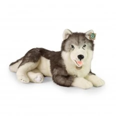 Large dog Siberian husky 60 cm lying down
