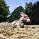 Plush donkey standing 28 cm.
