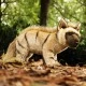 Plush standing hyena 40 cm.