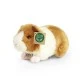 Plush Guinea pig 20 cm.