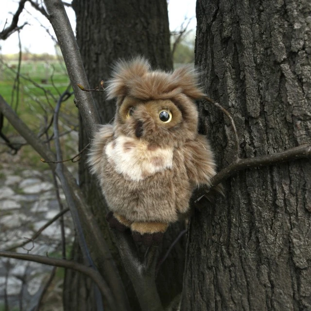 Plush Eurasian Owl 17 cm.