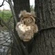 Plush Eurasian Owl 17 cm.