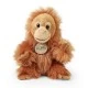 Bald Orangutan baby 18 cm.